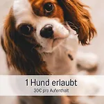 Stadtdomizil Mit Sauna Und Parkplatz Apartment *