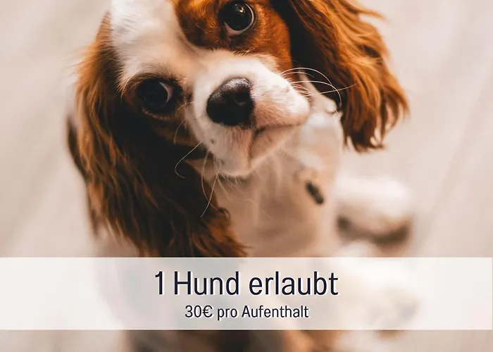 Stadtdomizil Mit Sauna Und Parkplatz 아파트 *